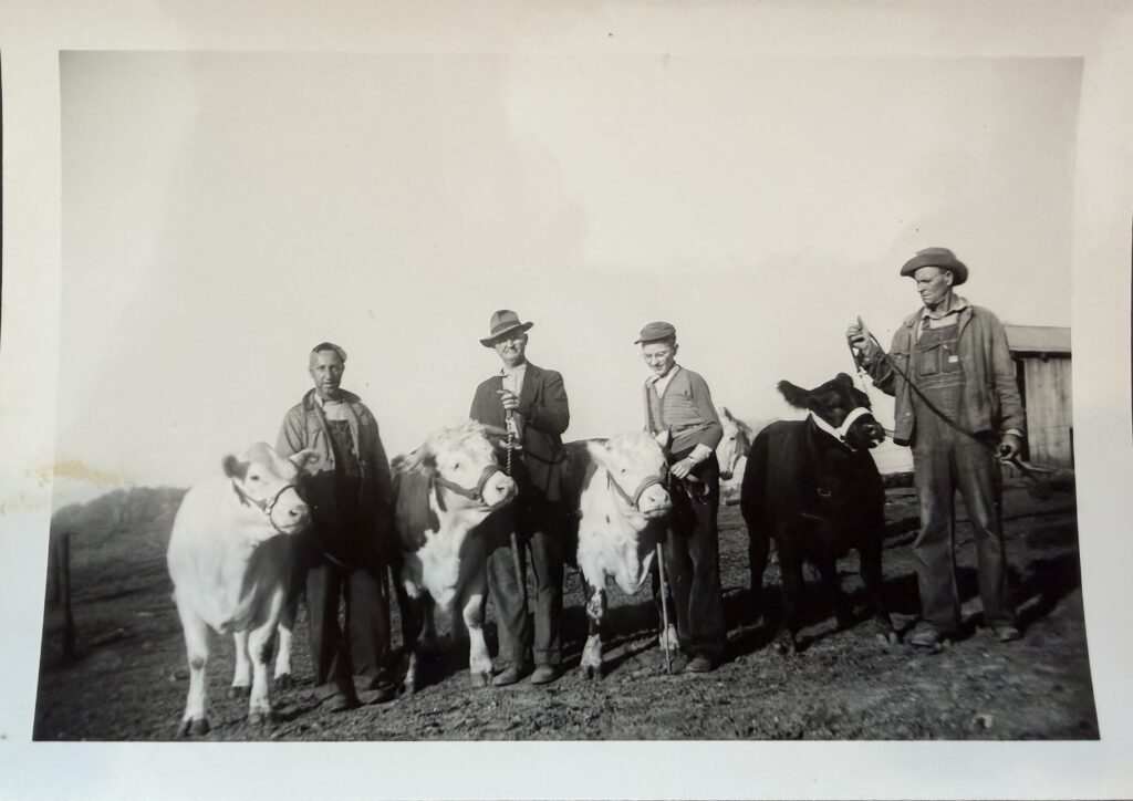 Historic black and white photograph of farmers standing with cattle in a pasture, representing early generations of life and work at RiverView Family Farm